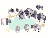 Bison Water Hole- 16" x 20" Archival Print