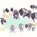 Bison Water Hole- 16" x 20" Archival Print