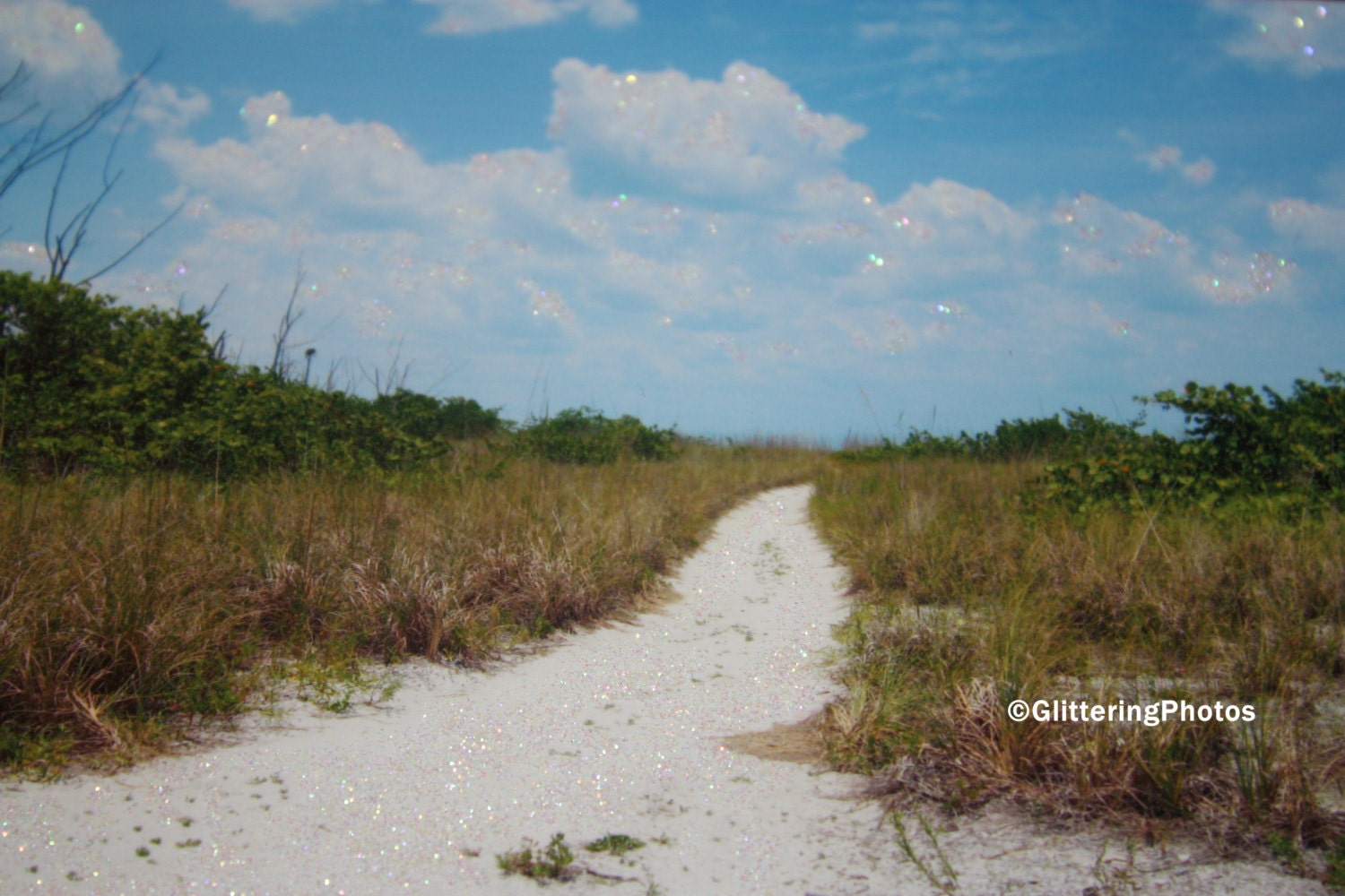 Sandy Trail 5 x 7 Glossy Fine Art Photograph Print Glossy OOAK