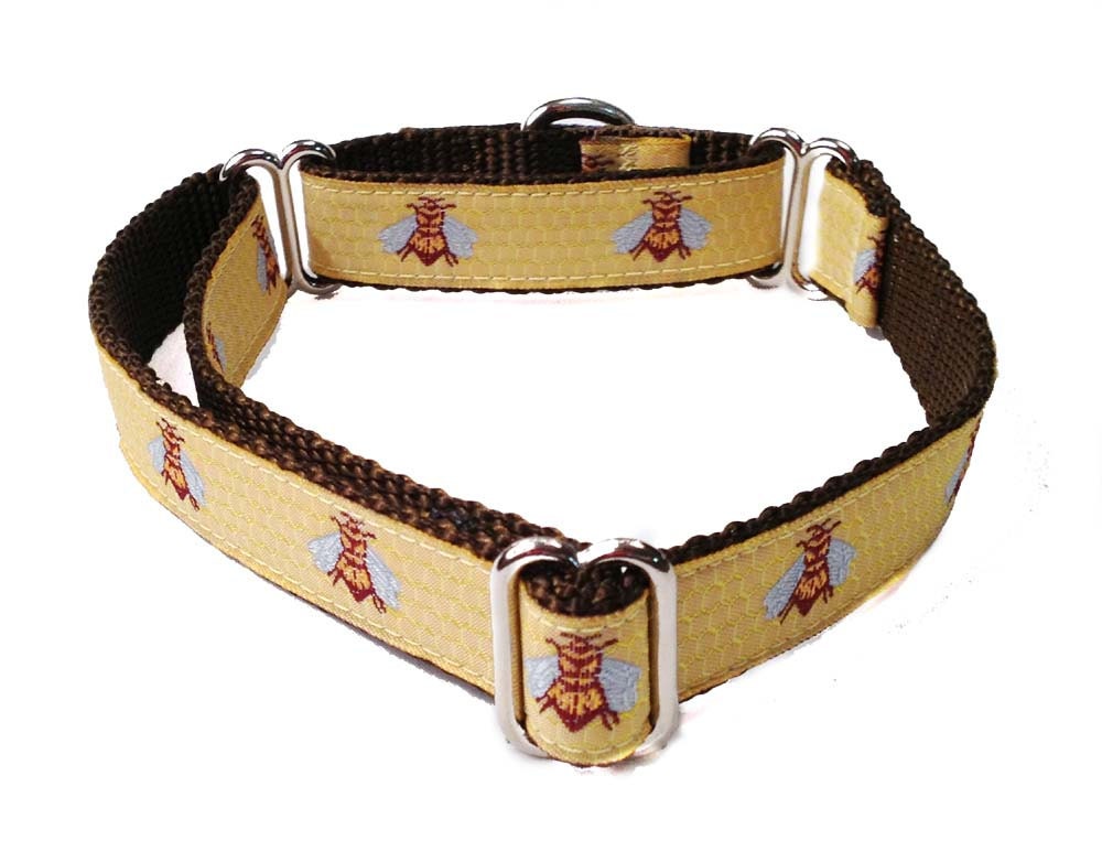 Yellow Bee Small Martingale Dog Collar - 3/4" Beehive Martingale
