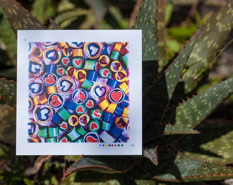 Blank Greeting Card - Heart Millies - Birthday - Valentine's Day