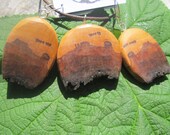 Beautiful Earthy Picture Wood  necklace/Earring set-....