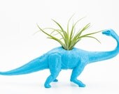 Dinosaur Planter with Air Plant Room Decor, College Dorm Ornament, Plants and Edibles, Geekery