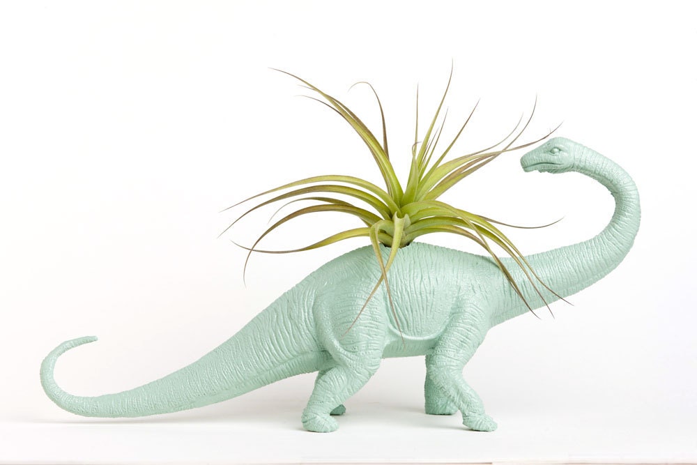 Dinosaur Planter with Air Plant Room Decor, College Dorm Ornament, Plants and Edibles, Green, Geekery
