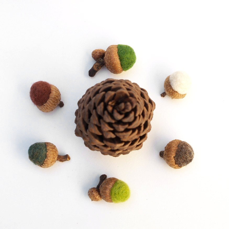 Wool Acorns, Handmade 12 Neelde Felted Colorful Home Decor Autumn Hues Waldorf Woodland Natural Nature Fall Thanksgiving Country