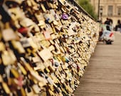Paris photography - Love Locks on the Pont des Arts - 8x10 art print - romantic gift for francophiles paris france photo travel photograph