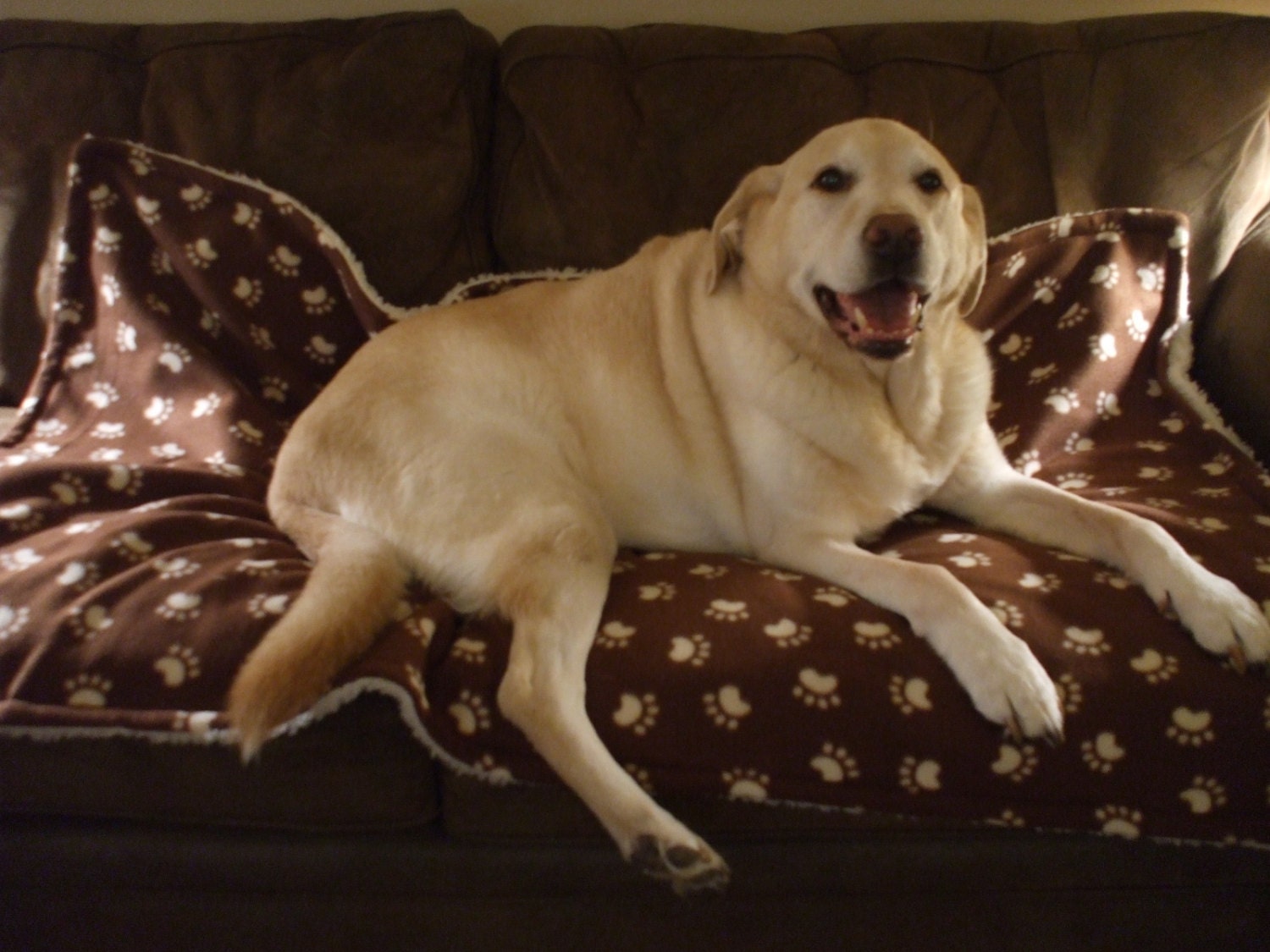 Pet Throw / Reversible Pet Blanket - Chocolate Brown With Cream Paw-Prints Fleece And Sherpa