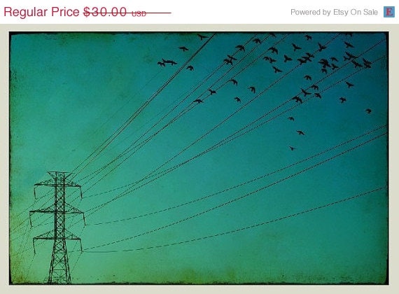 40% OFF SUMMER SALE Surreal Bird Photography, Green, Power Lines - Frailty 8x12 Original Print - Signed Print by Tina Crespo Philadelphia P