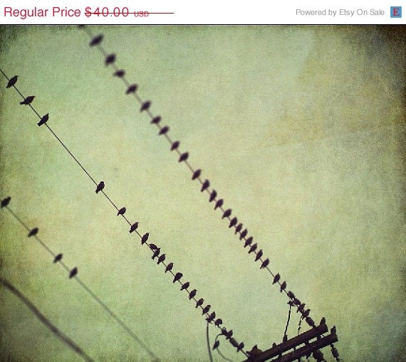 40% OFF SUMMER SALE Home Decor Bird Photography, Birds, Sky, Texture - the only exception - 12x10 Signed Print by Tina Crespo Philadelphia