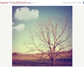 40% OFF SUMMER SALE given to dreams - 8x8 fine art print - tina crespo