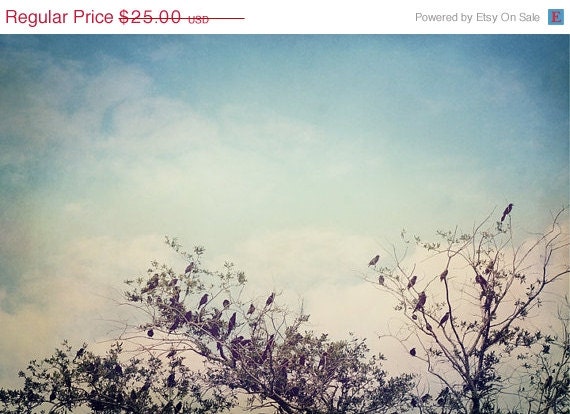 40% OFF SUMMER SALE Bird Photography, Home Decor, Sky, Trees, Black Birds, Flight, Clouds, Dreamy - Birds of Clearwater (1) - 8x12 Signed P