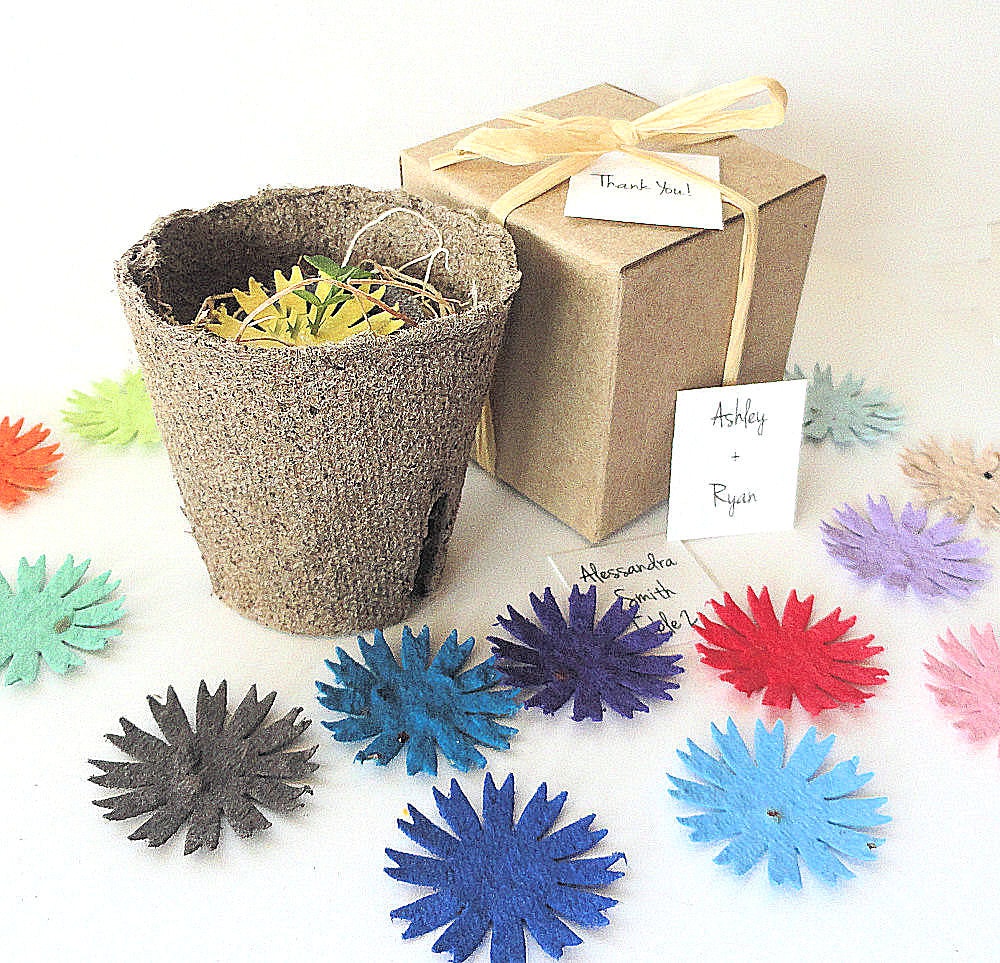 25 Kids Birthday Party Favors, Fun, Educational, Unique, Personalized by Nature Favors