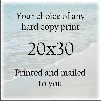 Your choice photographic print 20x30 artwork - photography - painting