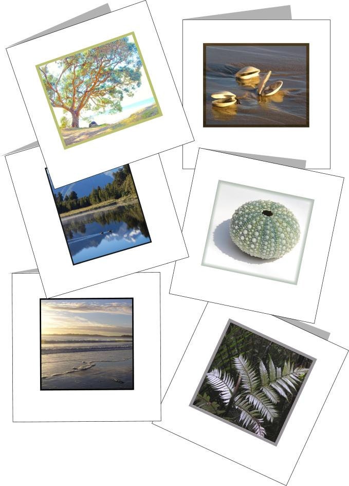 Printable Mini cards New Zealand nature theme Set of 6 plus envelope template