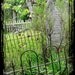 Printable gravestone graveyard photographic print  8x10 10x10 16x20 11x14 20x30