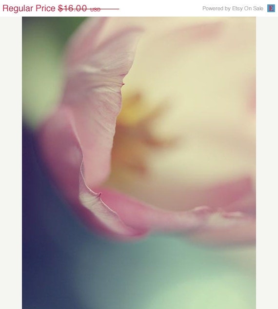 SALE The Abstract Tulip - Fine Art Flower Photograph 5x7 Spring Summer Romantic Dreamy Botanical cream