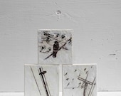 Is it a DREAM Original Encaustic Painting BIRD Black Tree Painting