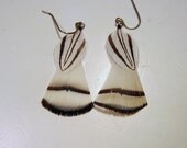 White Feather Earrings with a touch silver