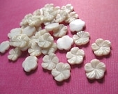6 Shell Cabochons Flower Off White 12mm  (CA400)