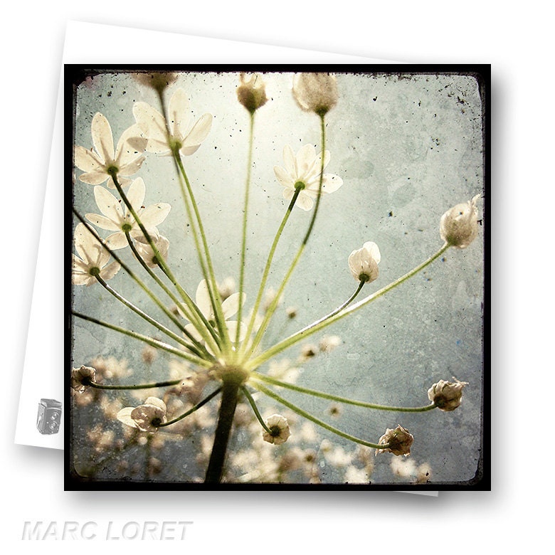 Vers la Lumière - Fine Art Photography French Nature - Photo Postcard