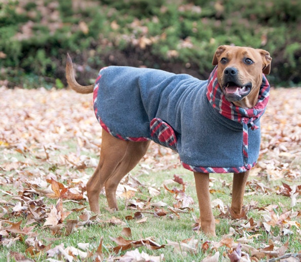 Large Boy Dog Fleece Winter Coat with Drawstring Snoodle