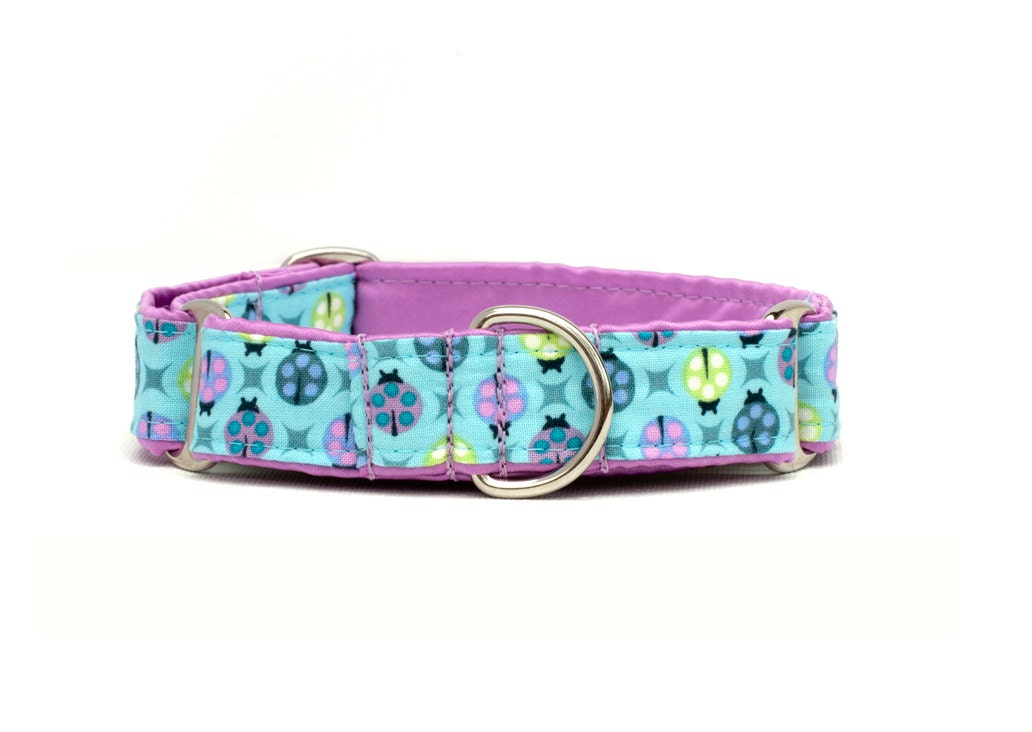1 inch Martingale Collar - Ladybugs - Free Shipping