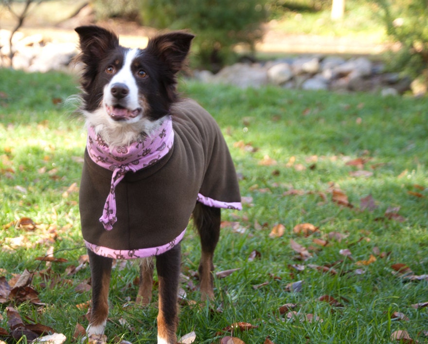 Dog Coat - Girl Size XLarge