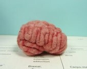 Specimen Jar Brain Anatomical Curio C2