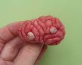 Brain with Hydatid Cysts Brooch