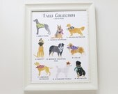Talls Collection Print