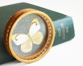 The Butterfly Book - Antique 1927 Book By JW Holland - Vintage Book - Green - Garden - Insects - Summer