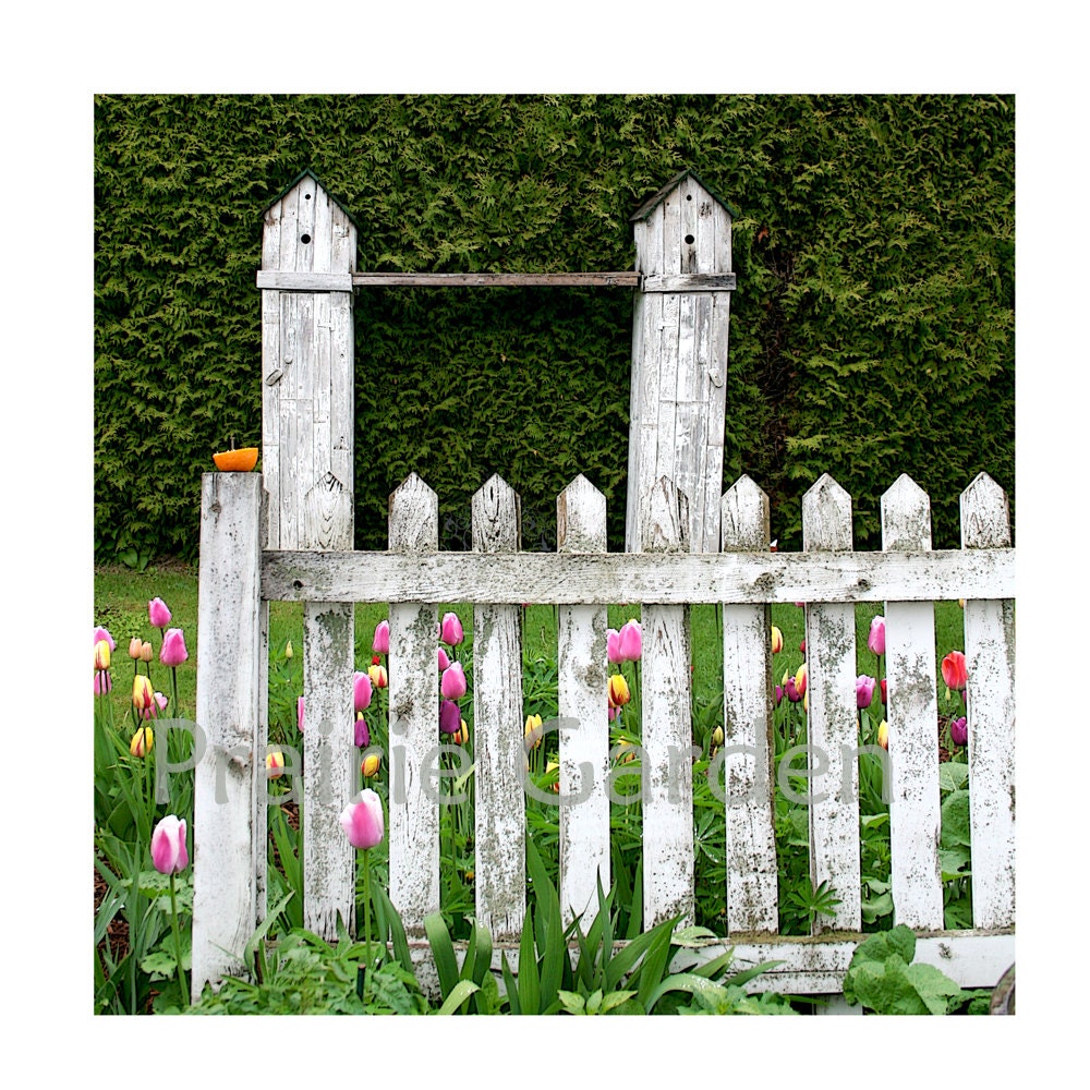 Nita's Garden Gate Fine Art Print