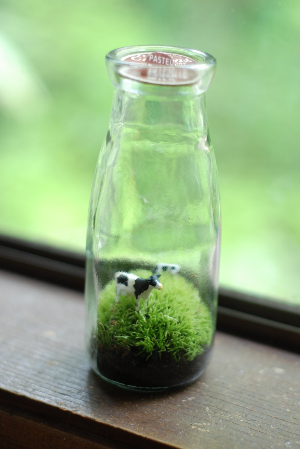 moss terrarium tiny cows in vintage pint milk jar
