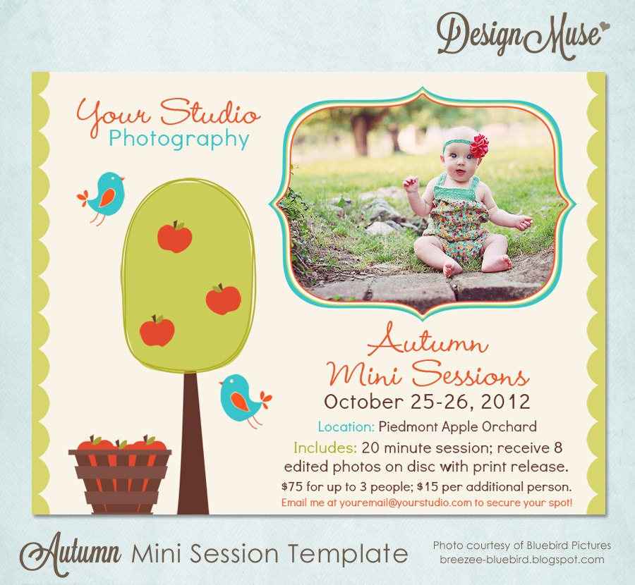 Autumn Mini Session Photography Marketing Board Template - INSTANT DOWNLOAD