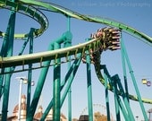 Raptor at Cedar Point 11x14 Print