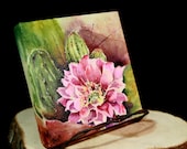 Gallery Wrapped Watercolor Arizona Desert Cactus Blooms Original 5x5inch Red Pink Yellow Blue, Green