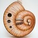 Snail ukulele (snailele) acoustic electric