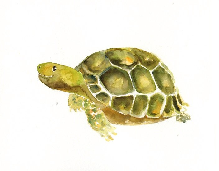 TORTOISE Original watercolor painting 10X8inch