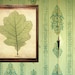 Vintage Botanical Print "Oak Leaf" Woodland Print - Green Chartreuse Leaf Illustration - Oak Tree Forest
