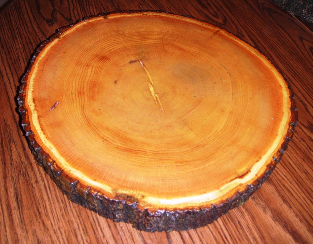 Finished 17 Inch Diameter Circular Crosscut Oak Tree  Functional Art or Cake Stands