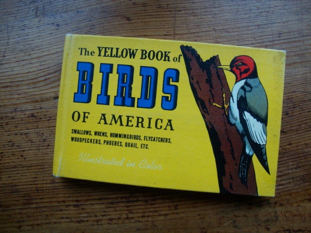Vintage Illustrated Yellow Book of Birds of America - 1941