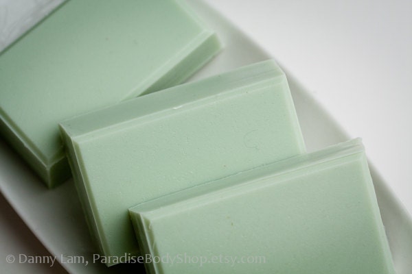 Rainforest soap - goat milk soap - Woods, Mist, Florals - STORE CLOSING SALE