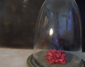 Large Glass Cloche With Round Stone-Like Base