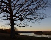Tennessee Tree Photo titled Sunset without the Cranes -- 8 x 10" on Fine Art Paper
