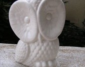 Way to Cute Baby Owl