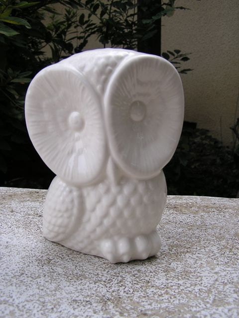 Way to Cute Baby Owl