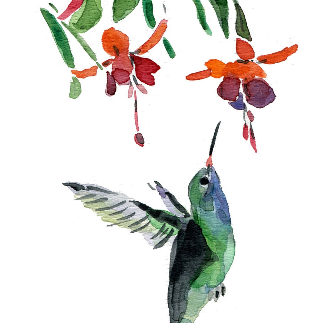 Humming bird no. 2 Print of  watercolor painting, bird art, humming bird and flower, mothers day, nursery decor, bird lover, tropical