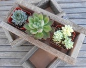 2 Rustic Wedding Boxes, Centerpiece, Decor, Succulent Planter, Barn Wedding, Reclaimed Wood