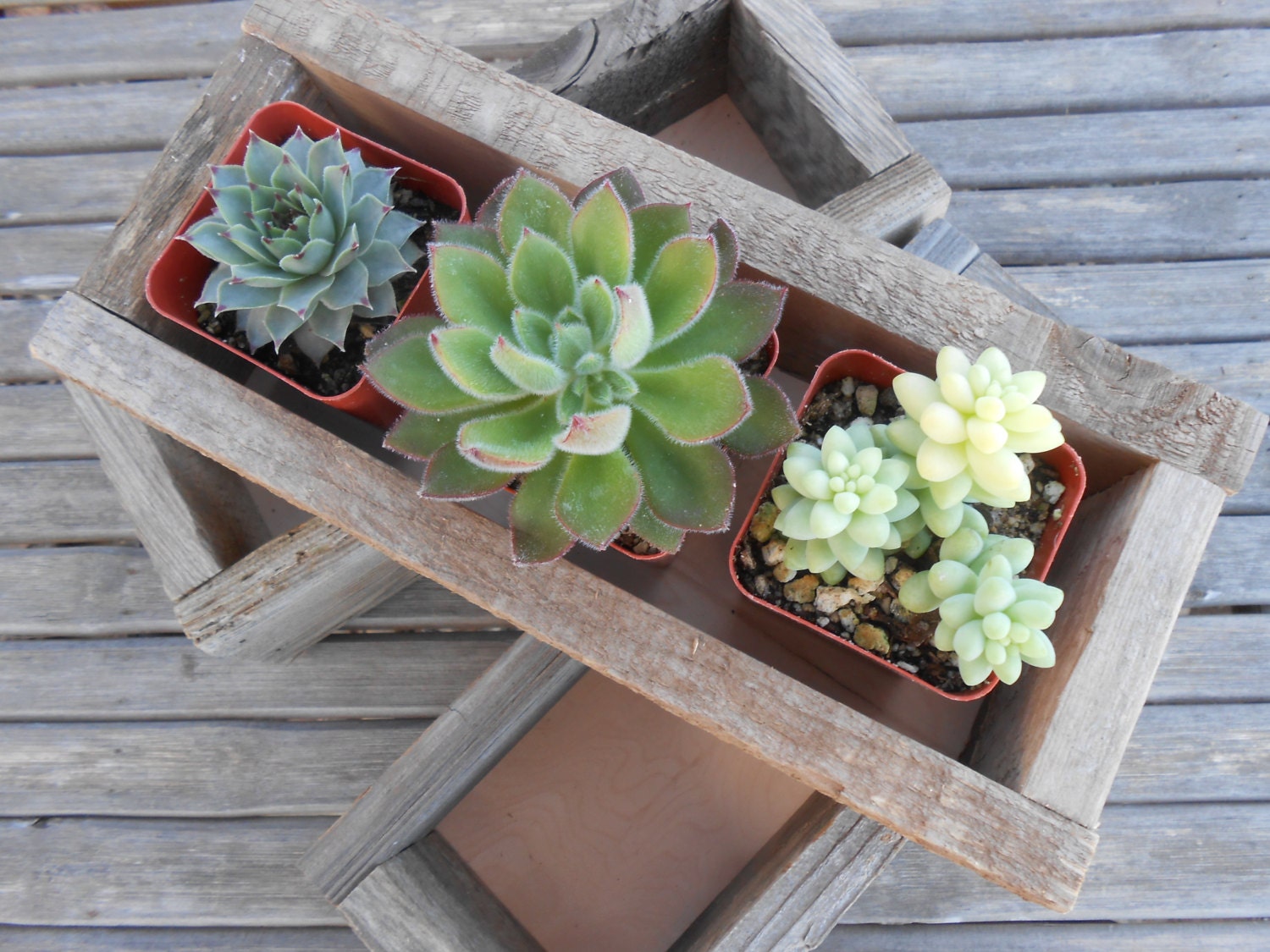 2 Rustic Wedding Boxes, Centerpiece, Decor, Succulent Planter, Barn Wedding, Reclaimed Wood