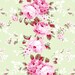 Rachel Ashwell Shabby Chic Fabric yard Rose Trellis on SAGE Poplin Cabbage Roses Raspberry